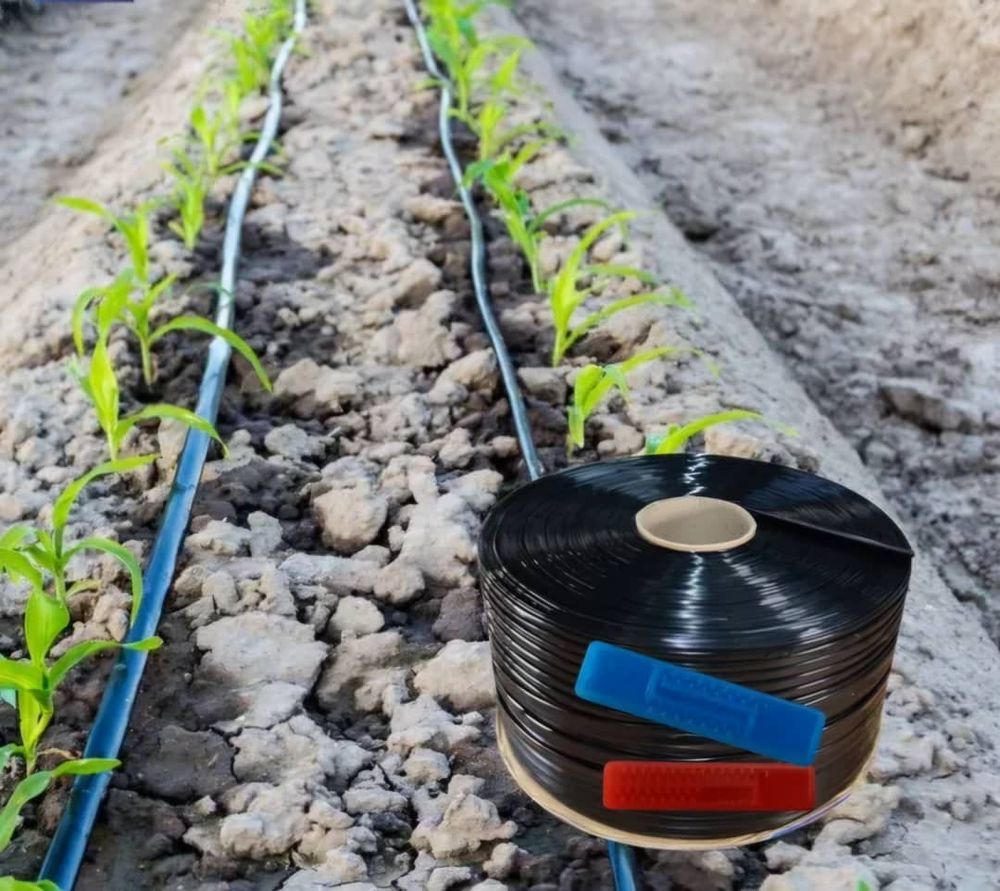 به همت متخصصان آریاساسول عملیاتی شد: توسعه گرید جدید تولید نوارهای مصرفی آبیاری قطره‌ای برای نخستین‌بار در کشور