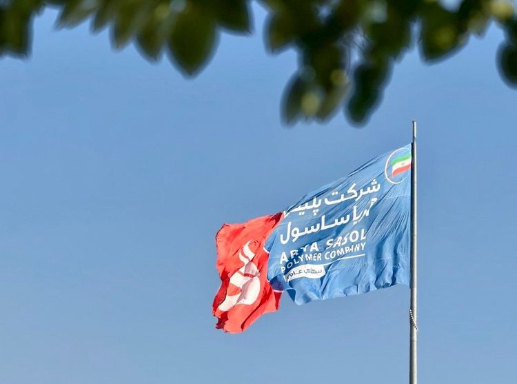 صورت‌های مالی 6 ماهه 1404 آریا منتشر شد:  سود هر سهم 383 تومان