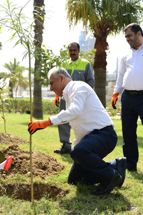 WIZ3133-min-scaled (1).jpg