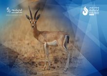 توضیحات شرکت پلیمر آریاساسول درباره پایان تعهدات چندین ساله یکی از طرح‌های مسئولیت اجتماعی 