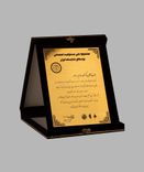 سیمرغ طلایی برند شایسته ایران به آریاساسول رسید