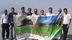 لاک پشتها حق زندگی دارند