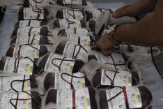 دومین دوره اهدا خون کارکنان پلیمر آریاساسول در سال 1403 برگزار شد