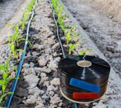 به همت متخصصان آریاساسول عملیاتی شد: توسعه گرید جدید تولید نوارهای مصرفی آبیاری قطره‌ای برای نخستین‌بار در کشور